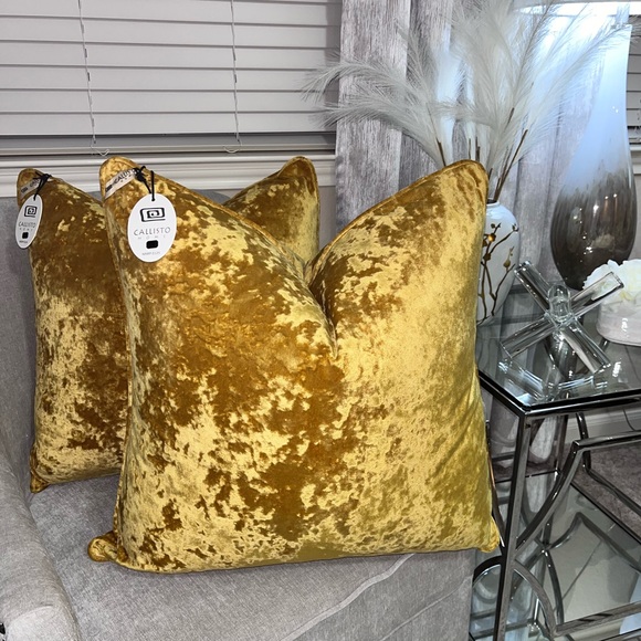 1-NET CALLISTO HOME VELVET DECORATIVE PILLOWS (Read description for details)